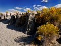 Tufa Formations, Mono Lake, California Royalty Free Stock Photo